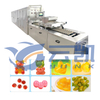 Automatic Gummy Candy Depositing Production Line(HK-300)