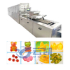 Single Row Gummy Candy Depositor Line